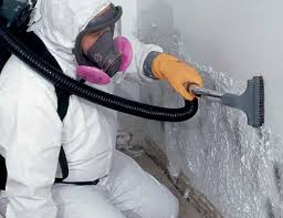 Best Mold Odor Removal Services in Swoyersville, PA